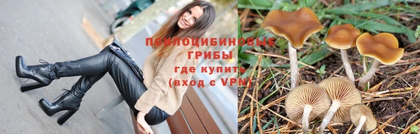 мескалин Абаза