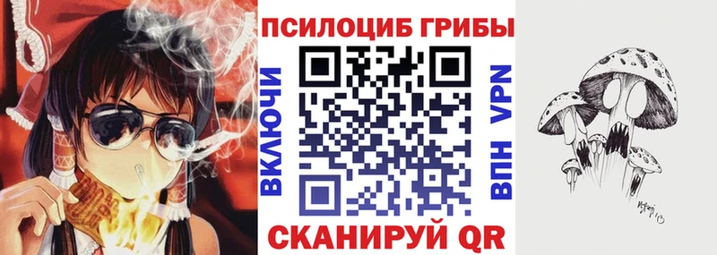 Псилоцибиновые грибы Psilocybine cubensis Фрязино